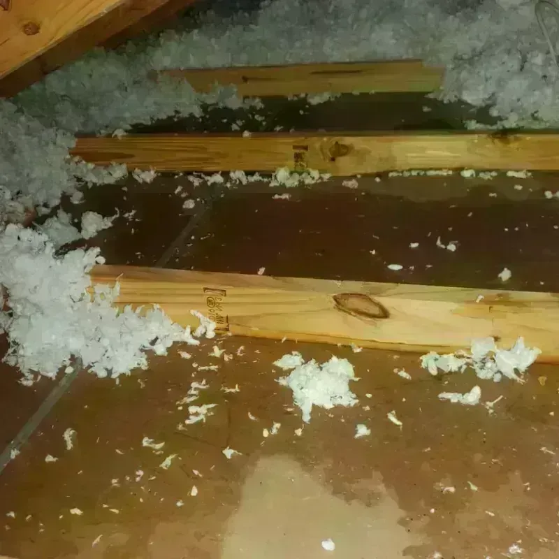 Attic Water Damage in Pleak, TX